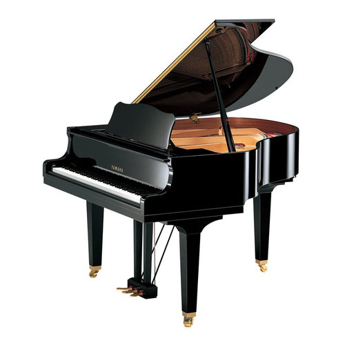 Yamaha Baby Grand Piano GB1K